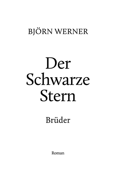 Brjörn Werner · Der Schwarze Stern · Brüder · Roman